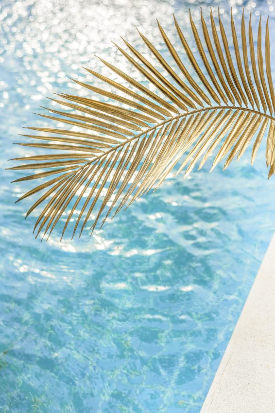 Blue water texture in a swimming pool with palm leaf